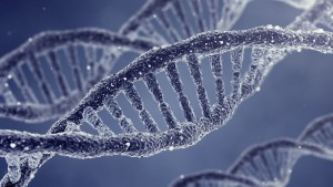 DNA