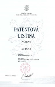 Mettinum patent
